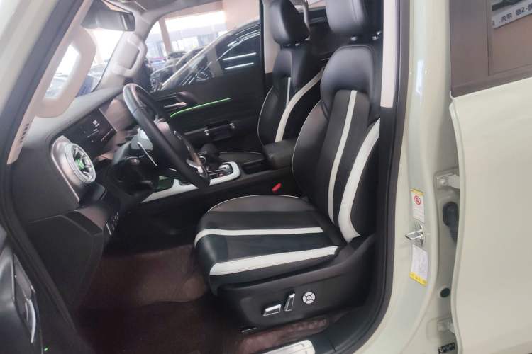 Used Tank 300 2021 City Edition 2.0T—Truly Stylish