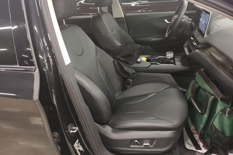 Used Hongqi E-QM5 2022 431 km Charge & Enjoy Edition Right Front Seat