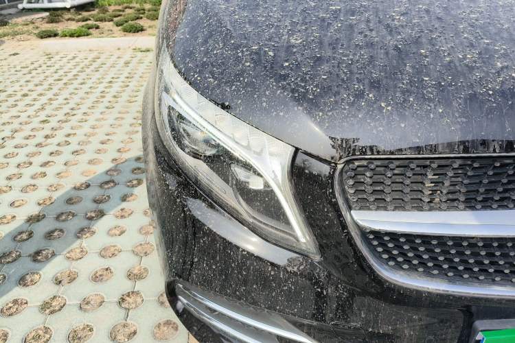 Used Mercedes-Benz V-Class 2020 V 260 L Long-wheelbase Luxury Edition
