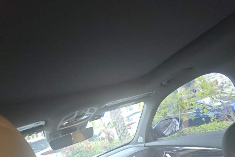 Used Geely Auto Monjaro L Intelligent Engine 2024 1.5T Tiangong Edition Headliner