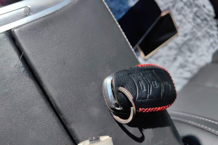 Used Landian E5 2024 Honor Edition 100KM Comfort Model 7 Seats Vehicle Key