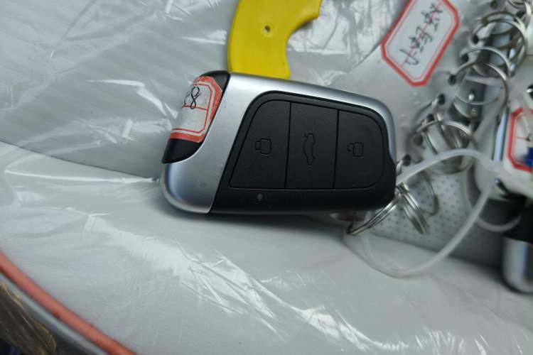 Used Chery Little Ant 2024 Facelifted 321km Beloved Edition Vehicle Key