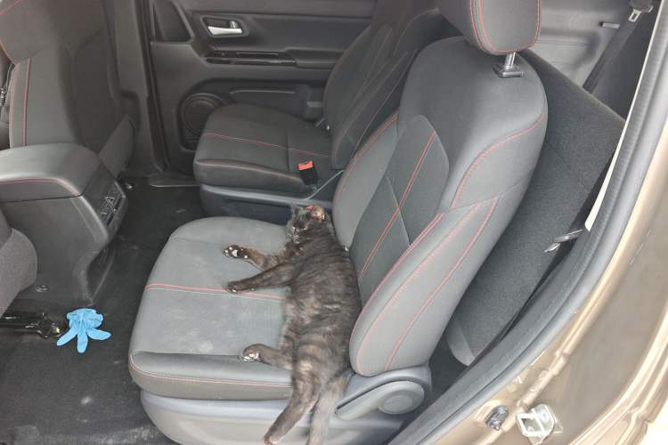 Used CHANGAN OSHAN X70A 2018 1.5L Manual Standard Edition Left Rear Seat