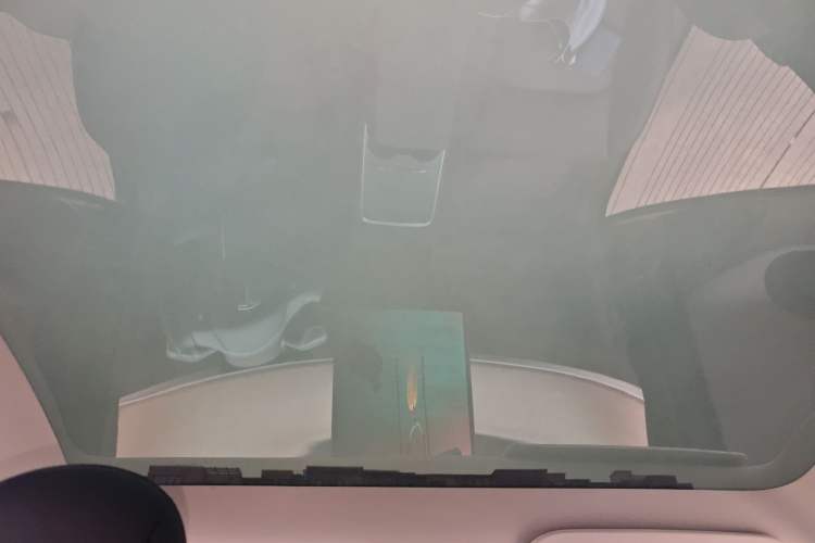 Used Tesla Model Y 2021 Long-Range All-Wheel-Drive Version Headliner