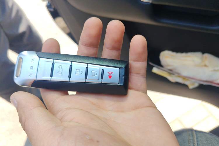 Used Tank 300 2021 Off-Road Edition 2.0T Conqueror