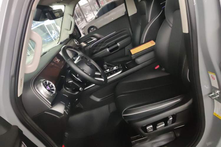 Used Tank 300 2024 2.0T Crosser