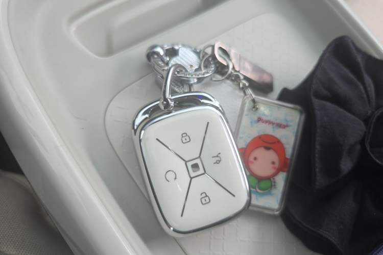 Used ARCFOX T1 2025 Model 425 PLUS Vehicle Key