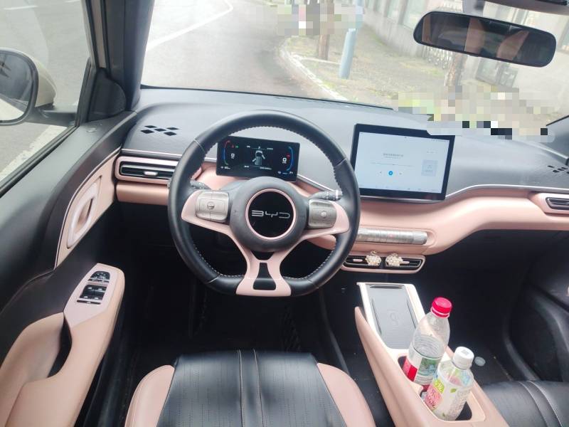 Used BYD Seagull 2023 Free Edition — 6