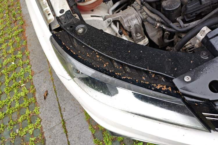 Used Volkswagen Tiguan 2012 2.0 TSI Comfort Edition
