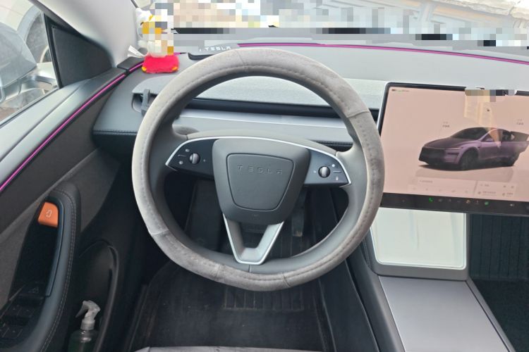 Used Tesla Model Y 2025 Rear-Wheel-Drive Version