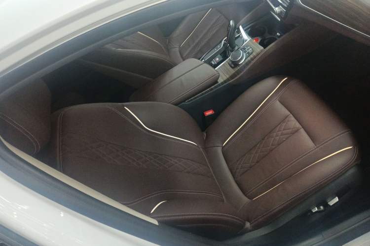 Used BMW 5 Series 2019 530Li Luxury Edition Premium Package
