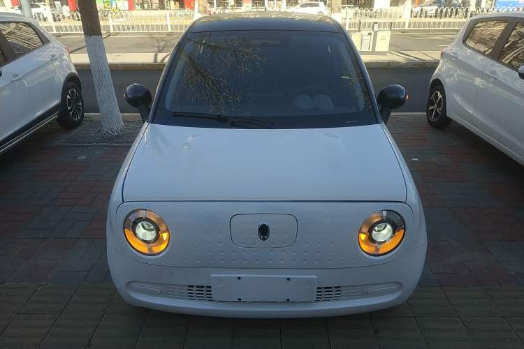 Used ORA Black Cat 2021 301 km Basic Version