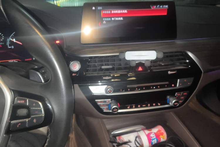 Used BMW 5 Series 2019 530Li xDrive Luxury Package