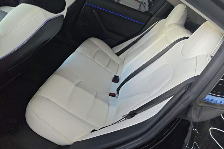 Used Tesla Model 3 2021 Performance High-Performance All-Wheel-Drive Version 3D6