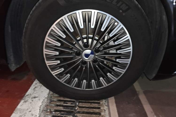 Used Denza D9 2024 PIONEER Four-Seat Pioneer Edition
