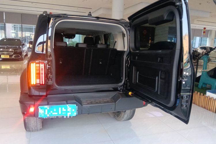 Used Tank 300 2024 2.0T Challenger