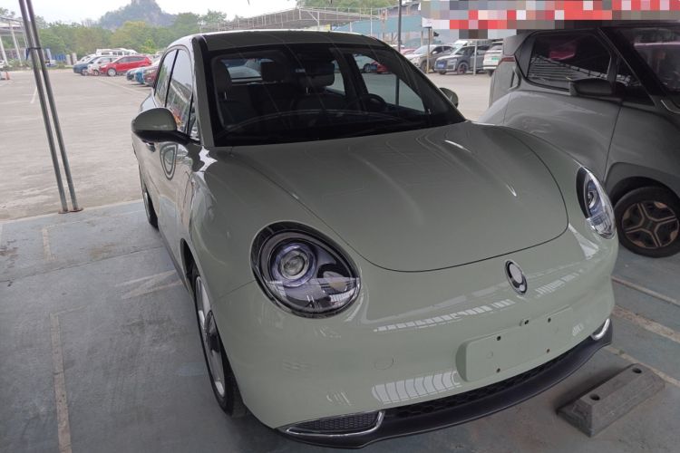 Used ORA Good Cat 2023 401 km Standard Range Luxury Version Ternary Lithium
