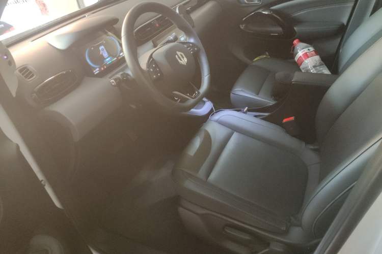 Used Leapmotor T03 2020 400 Luxury Edition Left Front Seat