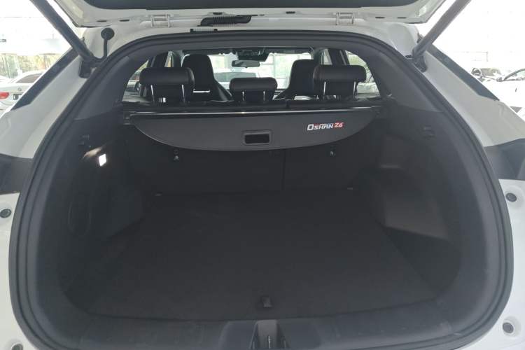 Used Oshan Z6 New Energy 2023 ZhiDian iDD 150KM Flagship PLUS