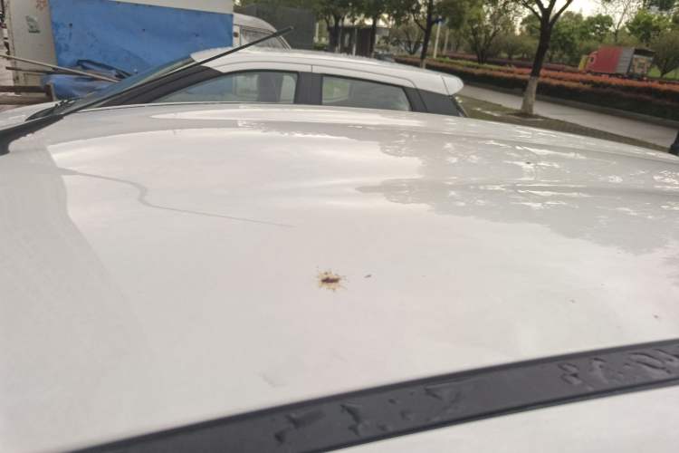 Used JMEV Xiao Qilin 2026 Model PLUS+ Comfort Version Roof