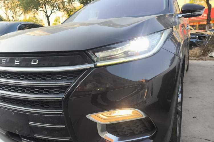 Used EXEED Lingyun 2019 1.6T Two-Wheel Drive Diamond Edition