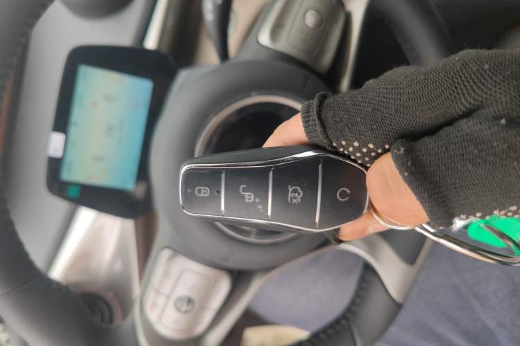 Used BYD Dolphin 2025 420km Fashion Edition Vehicle Key