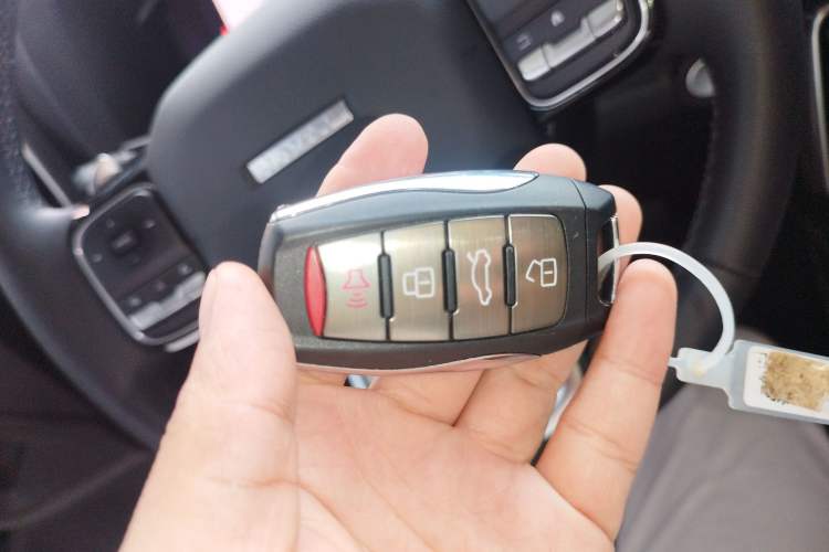 Used Haval DARGO 2024 1.5T DCT Border Collie Edition
