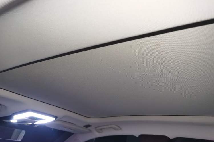 Used Hongqi H9 2020 2.0T Smart Connect Flagship Edition