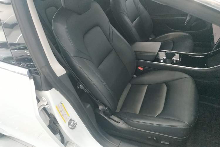 Used Tesla Model 3 2020 Standard Range Rear-Wheel Drive Upgraded Version