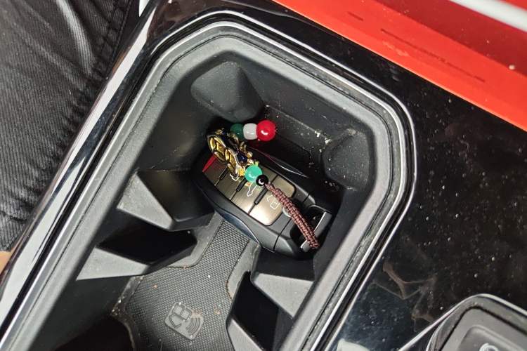 Used Haval DARGO 2021 2.0T DCT 4x4 Chinese Rural Dog Edition Vehicle Key