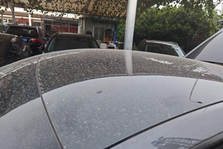 Used Tesla Model Y 2021 Long-Range All-Wheel-Drive Version Roof