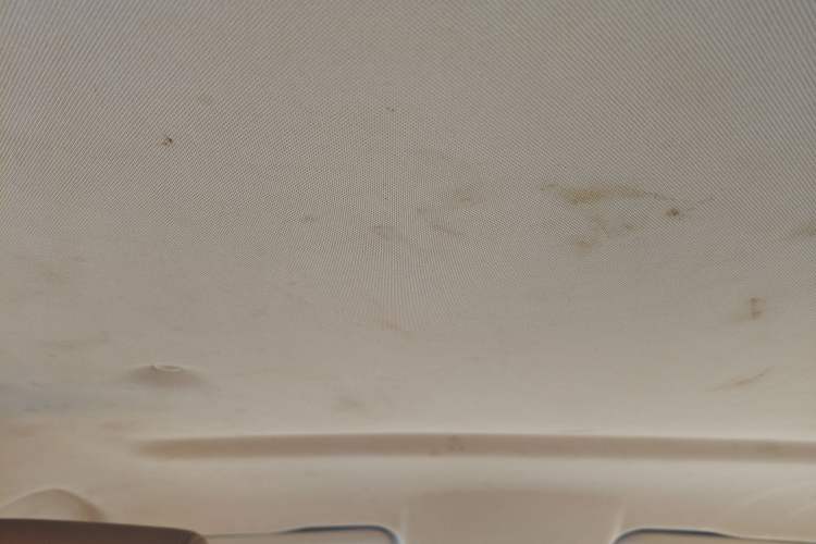 Used Great Wall Poer 2019 2.0T Commercial Version Manual Diesel 4x4 Elite Long-Box GW4D20M