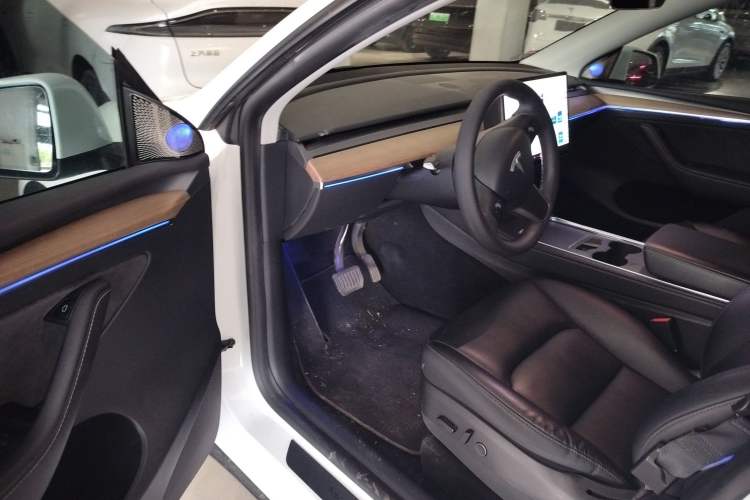 Used Tesla Model Y 2021 Standard Range Rear-Wheel Drive Version
