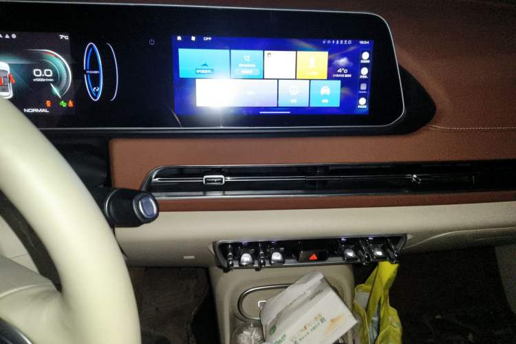 Used ORA Good Cat 2023 401 km Standard Range Premium Version Lithium Iron Phosphate