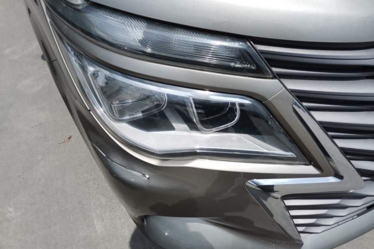 Used FORTHING Lingzhi 
