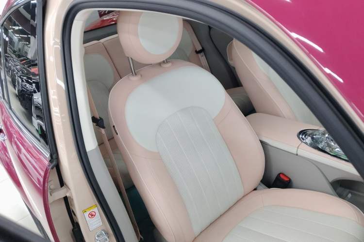 Used ORA Ballet Cat 2023 401 km Luxury Version