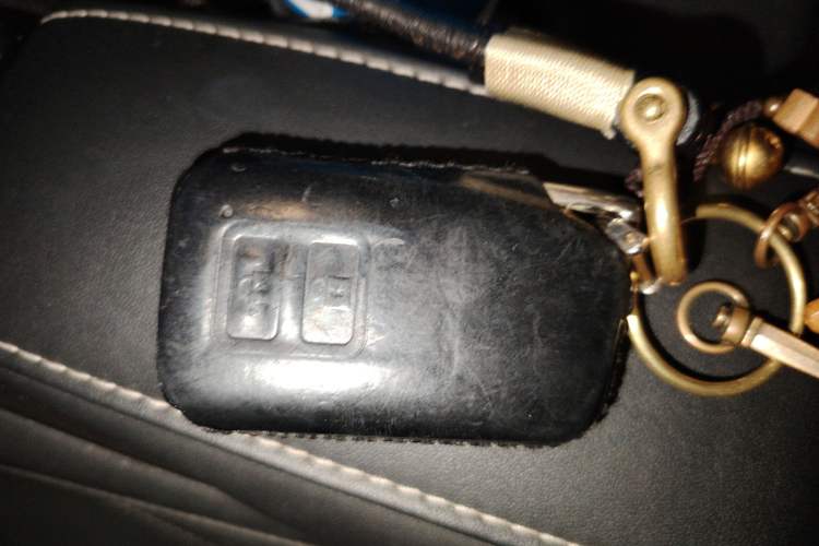 Used Lexus RX 2016 300 Two-Wheel Drive Comfort Edition China VI Standard Vehicle Key