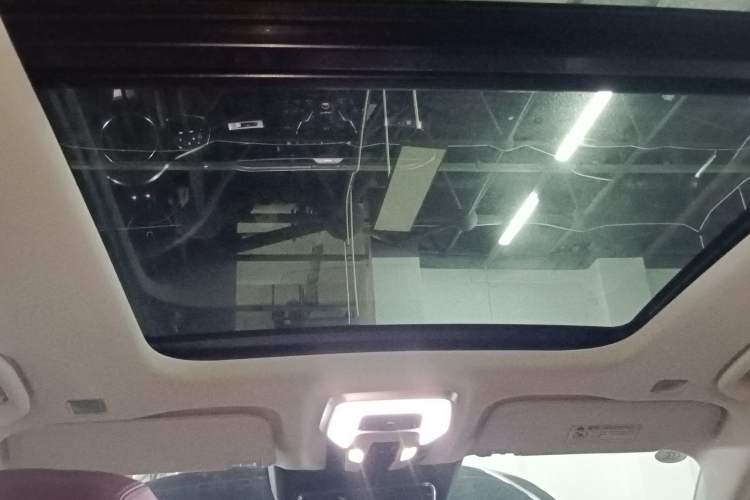 Used Hongqi E-HS9 2021 510 km Range Flagway Edition Six Seats Headliner