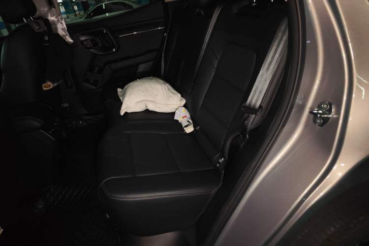 Used Haval H Dog New Energy 2023 DHT-PHEV 105km Tide Electric Version Plus Left Rear Seat