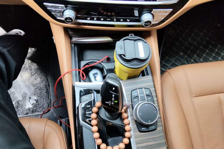 Used BMW 5 Series 2020 530Li Leading Edition Luxury Package