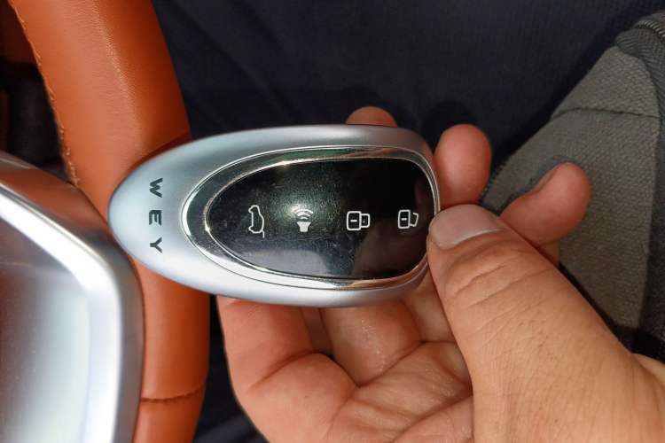 Used Wey Lanshan 2023 Four-Wheel Drive Ultra-Long Range Version
