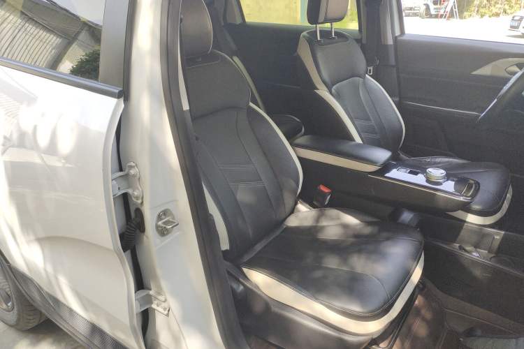 Used Geometry E Firefly 2022 320KM Cute Tiger 4-Seater