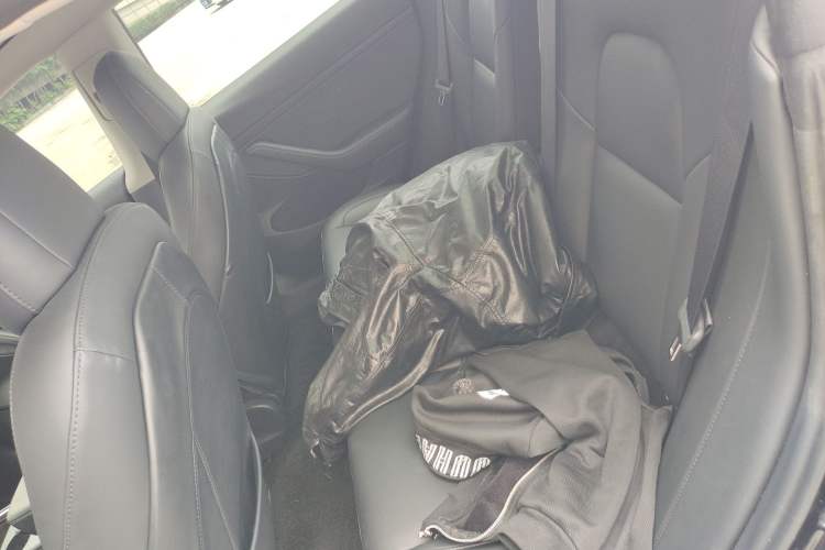 Used Tesla Model 3 2020 Revised Version Standard Range Rear-Wheel Drive – Upgraded Edition Left Rear Seat