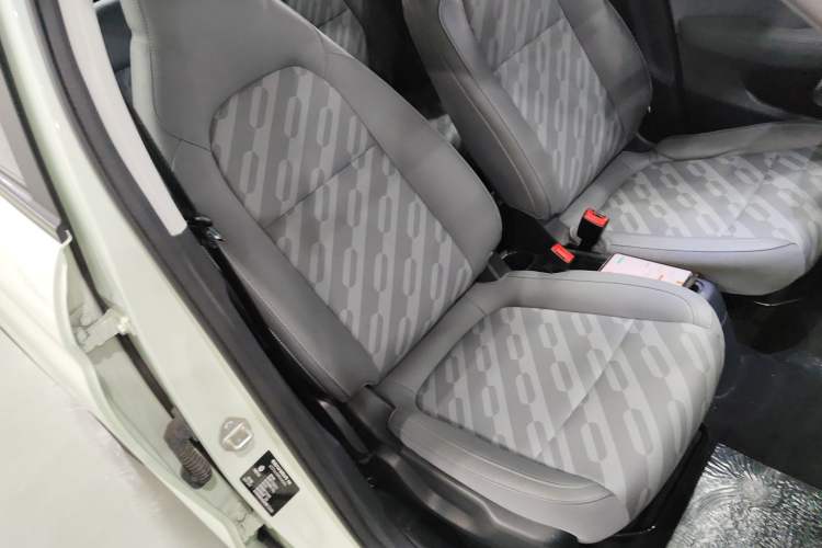 Used Leapmotor T03 2024 310 Comfort Edition Right Front Seat