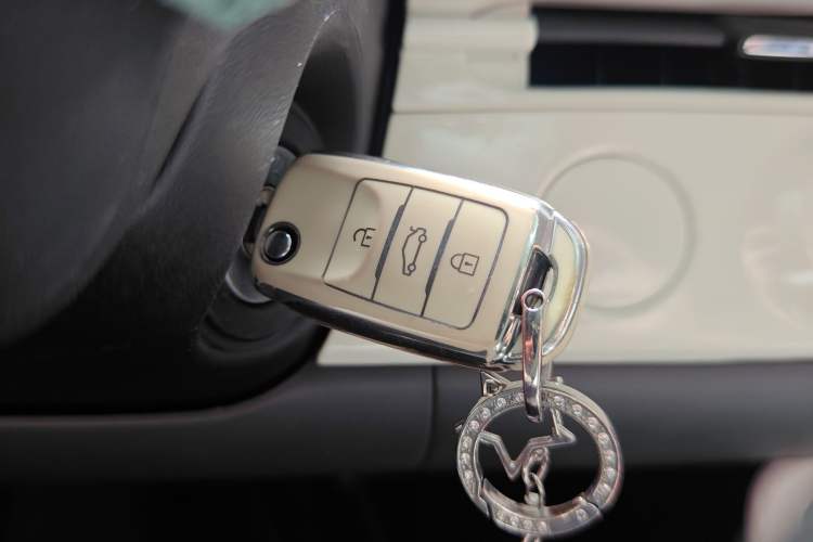 Used Qiyuan Lumin 2022 210km Sweet Edition
