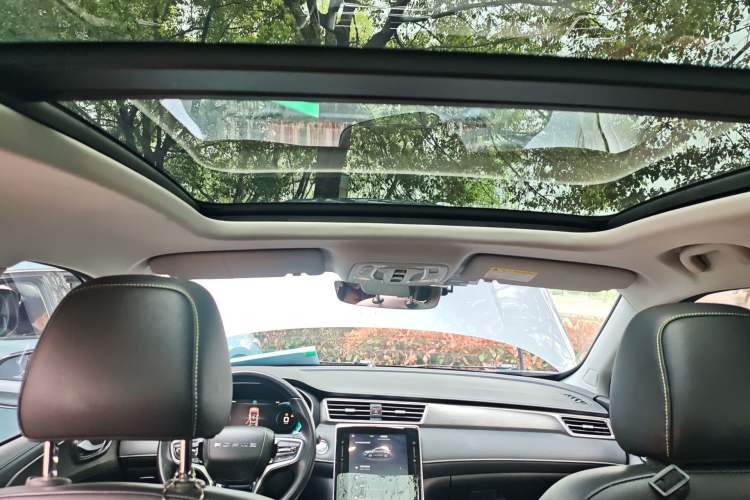 Used Roewe RX5 New Energy 2020 ePLUS National Trend Ronglin Luxury Edition Headliner