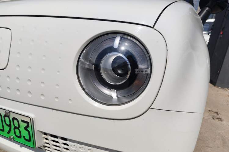 Used ORA Black Cat 2019 351 km Family Edition