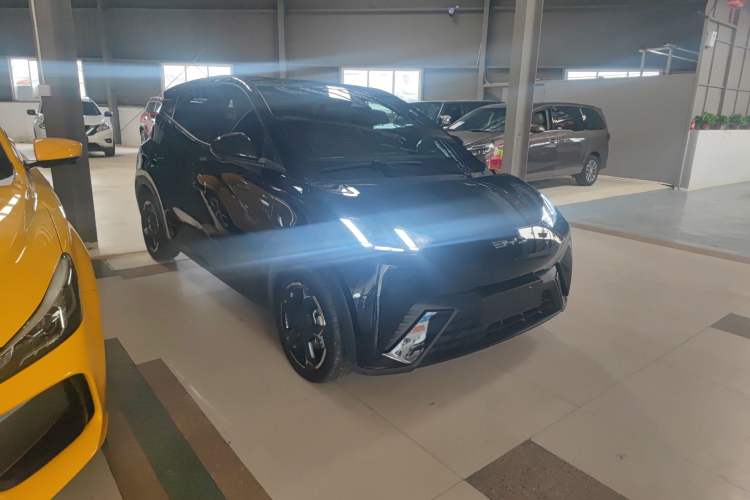 Used BYD Seagull 2023 Flying Edition
