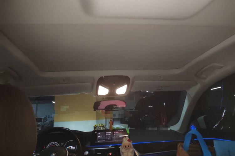 Used BMW 5 Series 2019 Facelifted 525Li Luxury Package Headliner