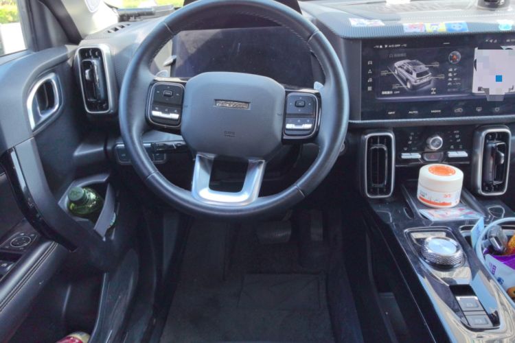 Used Haval DARGO 2021 2.0T DCT 4x4 Chinese Rural Dog Edition
